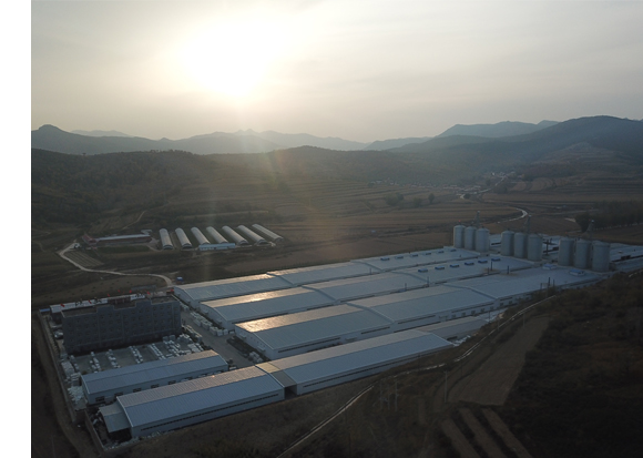 QQ圖片20171102183845